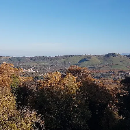 Отель типа 